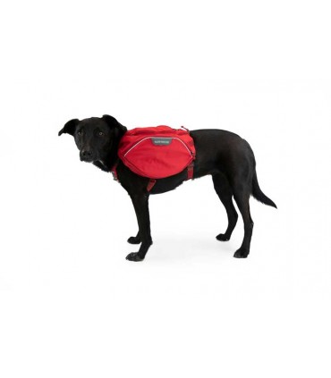 Ruffwear Palisades Pack Hunderucksack Wilder Hund