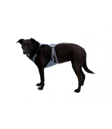 Set Hundehalsband und Auto Sicherheitsgurt Adapter Autogurt Hunde Halsband